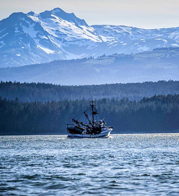 MSC Wild Copper River King Salmon